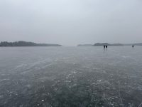 IMG 3606
